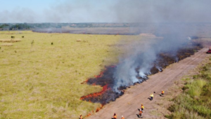 Período proibitivo do uso do fogo começa em MT. Famato orienta produtores sobre os prazos e cuidados