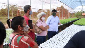 ATeG leva produtores rurais para conhecer empresa fornecedora da alface hidropônica no Amapá