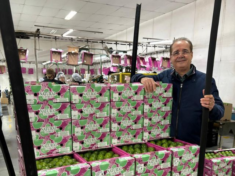 AgroBR alcança 1 mil produtores e amplia inserção de empresários brasileiros no mercado internacional