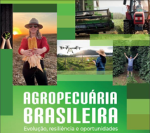 CNA publica estudo sobre logística no Arco Norte em livro do Ipea