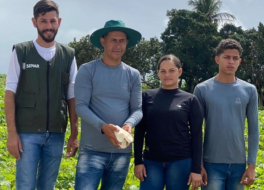 O trabalho no campo como inspiração para a família