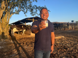 De analista de sistemas a produtor de leite