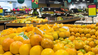 CT de Hortifruticultura debate inspeção periódica de pulverizadores