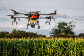Mapeamento de startups do agro vai ajudar a superar alguns desafios do setor, diz coordenadora do Hub CNA Digital