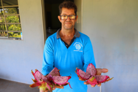 De eletricista a produtor rural: pitaya faz sucesso em Alcinópolis e atrai compradores até de outros estados