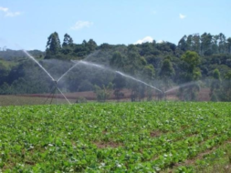 Irrigantes e aquicultores precisam atualizar cadastro na Copel