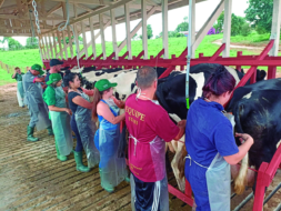 CTP oferta curso de inseminação artificial em Castro