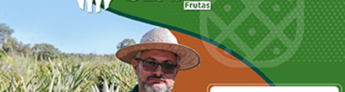 Senar Goiás convida para o Dia de Campo-cultura do abacaxi