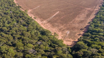 Cartilha orienta produtores rurais com imóveis em faixa de fronteira