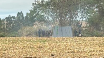Sistema Faep/Senar-PR pede intervenção estadual e federal nas invasões no Oeste do Paraná