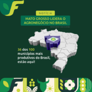 Mato Grosso lidera o agronegócio no Brasil: 36 dos 100 municípios mais produtivos estão no estado