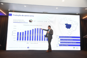 E-book detalha o panorama da suinocultura em Mato Grosso e aponta desafios e oportunidades para o setor
