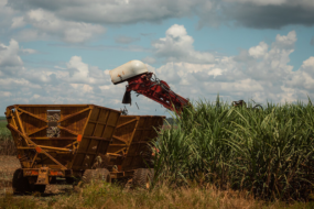 Para CNA, Paten reforça compromisso do agro com desenvolvimento sustentável