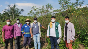 Turmas de fruticultura, olericultura e bovinocultura do Senar- AR/AM movimentam ações de ATeG em Setembro no Amazonas