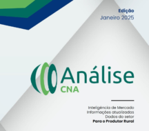 Análise CNA de janeiro traz dados de clima, comércio internacional e cenário econômico