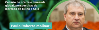 Faesc e Safras & Mercado promovem webinar sobre o cenário e as perspectivas do mercado do milho e da soja