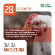Dia da Avicultura - Alimentos essenciais para os consumidores