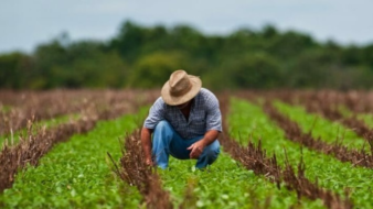 Sistema FAEP orienta produtores sobre prorrogação das parcelas de crédito rural
