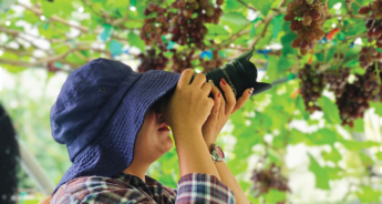 Concurso Fotográfico entra em nova fase