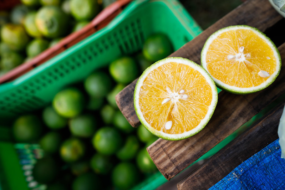 Campo Futuro analisa custos de produção da laranja, avicultura de corte e grãos