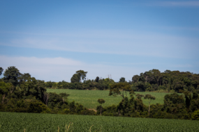 Cuidados que devem ser tomados ao adquirir uma propriedade rural