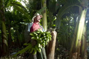 Muitas conquistas no campo são alcançadas com o auxílio da Contribuição Sindical Rural
