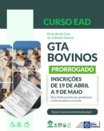 Sistema Famato oferece curso EAD de emissão da GTA de bovinos