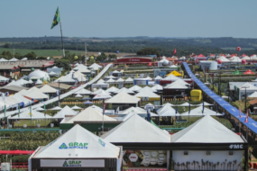 Técnicos da Faepa participam da  32º Show Rural, em Cascavel, no oeste do Paraná