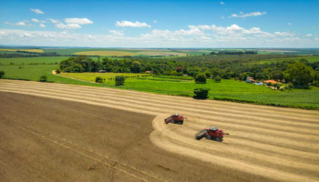 COP - Conferência das Nações Unidas sobre as Mudanças Climáticas