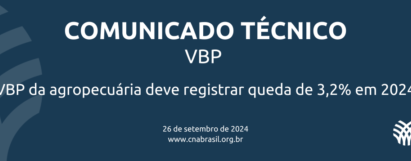 VBP da agropecuária deve registrar queda de 3,2% em 2024