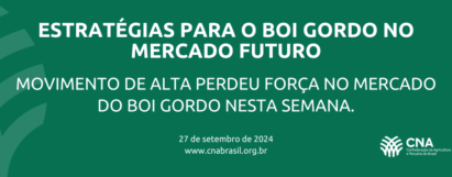 Movimento de alta perdeu força no mercado do boi gordo nesta semana