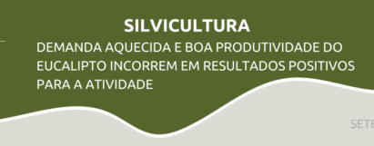 Demanda aquecida e boa produtividade do eucalipto incorrem em resultados positivos para atividade