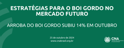 Arroba do boi gordo subiu 14% em outubro