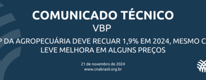 VBP da agropecuária deve recuar 1,9% em 2024, mesmo com leve melhora em alguns preços