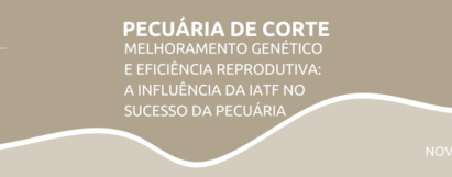 Melhoramento genético e eficiência reprodutiva: a influência da IATF no sucesso da pecuária