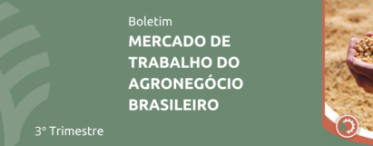 MERCADO DE TRABALHO DO AGRONEGÓCIO BRASILEIRO