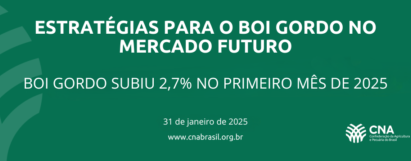 Boi gordo subiu 2,7% no primeiro mês de 2025