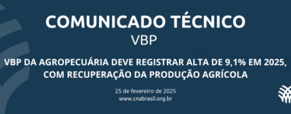 VBP da agropecuária deve registrar alta de 9,1% em 2025, com recuperação da produção agrícola