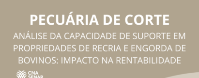 Análise da capacidade de suporte em propriedades de recria e engorda de bovinos: impacto na rentabilidade