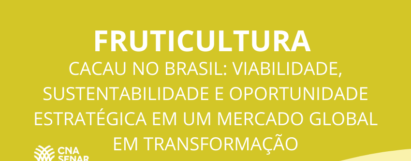 Cacau no Brasil: viabilidade, sustentabilidade e oportunidade estratégica em um mercado global em transformação