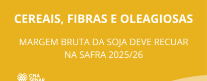 Margem bruta da soja deve recuar na safra 2025/26