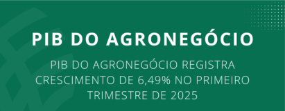 PIB do agronegócio registra crescimento de 6,49% no primeiro trimestre de 2025
