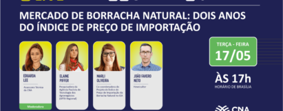 Live - Mercado de borracha natural: dois anos do índice de preço de importação