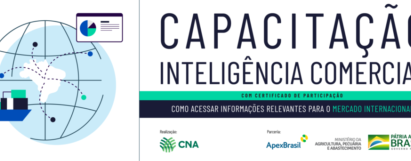 Capacitação - Inteligência Comercial