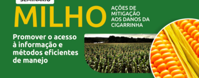 Milho - Ações de mitigação aos danos da cigarrinha