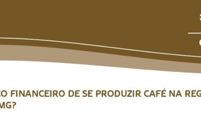 QUAL O RISCO FINANCEIRO DE SE PRODUZIR CAFÉ NA REGIÃO DE GUAXUPÉ - MG?