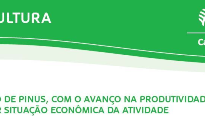 ADUBAÇÃO DE PINUS, COM O AVANÇO NA PRODUTIVIDADE, PODE MELHORAR SITUAÇÃO ECONÔMICA DA ATIVIDADE