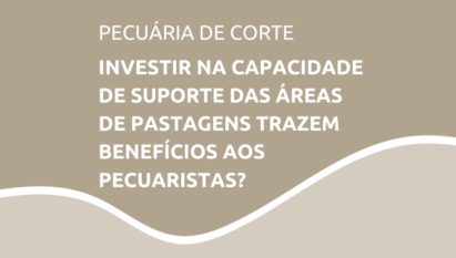 INVESTIR NA CAPACIDADE DE SUPORTE DAS ÁREAS DE PASTAGENS TRAZEM BENEFÍCIOS AOS PECUARISTAS?