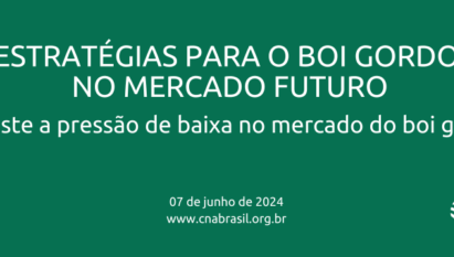 PERSISTE A PRESSÃO DE BAIXA NO MERCADO DO BOI GORDO