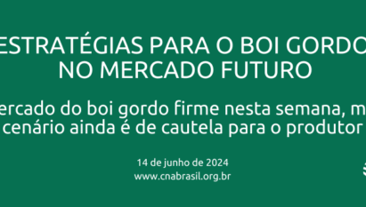 MERCADO DO BOI GORDO FIRME NESTA SEMANA, MAS CENÁRIO AINDA É DE CAUTELA PARA O PRODUTOR